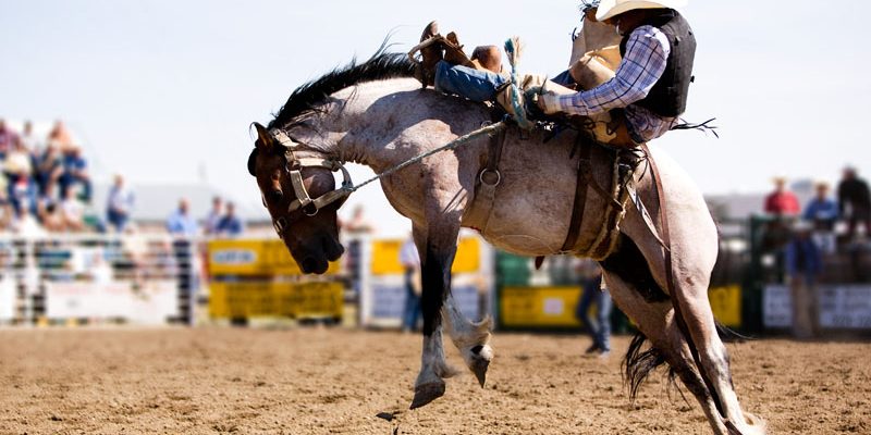 Rodeo Cowboy